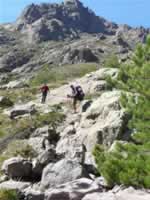 Korsika Bild 106